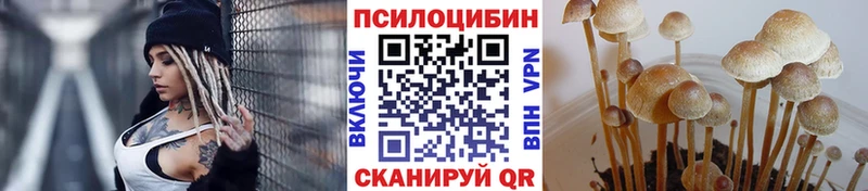 Псилоцибиновые грибы Psilocybine cubensis  маркетплейс какой сайт  Вольск  закладка 